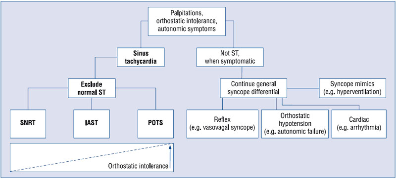 Pathophysiology and Classification of PoTS
