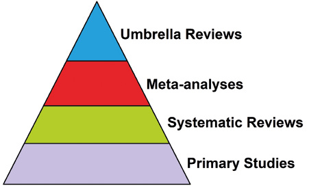 Umbrella review new arrivals